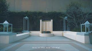 Rosendale - New Normal Lyric Video