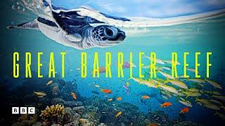 Great Barrier Reef  BBC Select