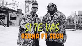 Sech Ft Ozuna - Si Te Vas LETRA