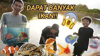 BERBURU IKAN CUPANG GALAXY IKAN HIAS DAN KURA KURA DIPENGAIRAN BOCIL DAPET BANYAK  Mikael TubeHD