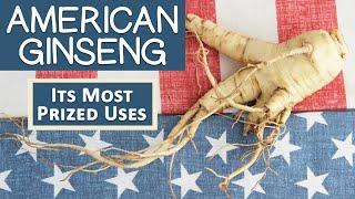 What is American Ginseng? Most Prized Uses  How Its Different Than Asian