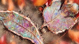 Turning Leaves into Beautiful Resin Bowls Resin Art Tutorial