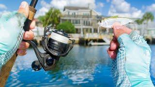 48 Hours Fishing LIVE Bait For Whatever Bites