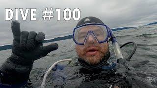 100th Scuba Dive No Shenanigans Fulton Creek Hood Canal