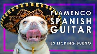 9 HOUR FLAMENCO SPANISH GUITAR  RELAXING ACOUSTIC GUITAR INSTRUMENTAL MUSIC FOR STUDYING