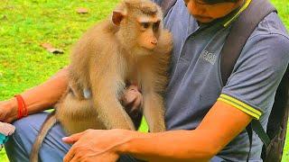 Monkey Flora bring her baby Floran to show a cameraman how cute he is