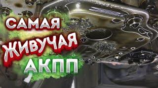 Сэкономили СТО ТЫСЯЧ РУБЛЕЙ Замена масла в АКПП #киа #рио