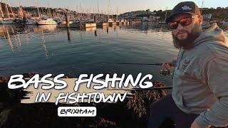 Bass Fishing in Brixham  Fish with me at FishTown