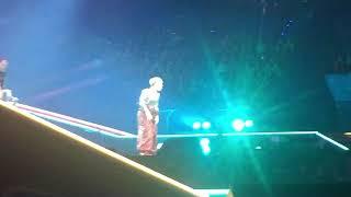 PINK Perth Arena 4th July 2018 - Blow Me One Last Kiss