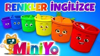 Renkler Şarkısı İngilizce  Miniyo İngilizce Çocuk Şarkıları
