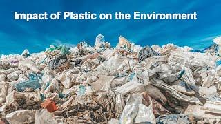 Impact of Plastic on the Environment