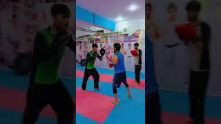 wushu kick boxing peding