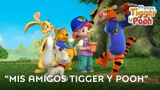 Mis amigos Tigger y Pooh  Disney