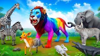The Evil Lion Magical Color Transformation  Wild Animal Adventure  Cartoon Videos 2024