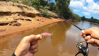 A CLÁSSICA PESCARIA DE ROBALOS COM MICRO ISCAS. Pesca Urbana o molinete cantouuuu.