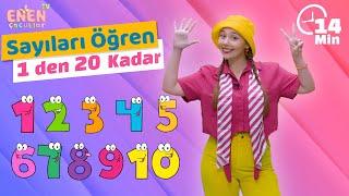 1den 20a Kadar Sayıları Öğreniyorum l Okul Öncesi için 20ye Kadar Sayıları Öğreniyoruz