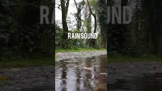 Rainfall Sound - RELAXING SOUNDS - #shorts #Rain #Boney