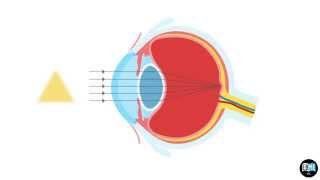 Eye Anatomy Chapter 6  The Lens