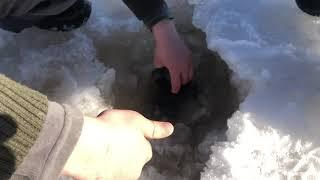 Погружение штатива JOBY Gorillapod 5K под лёд