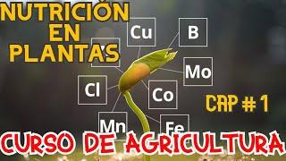  CURSO DE AGRICULTURA CAPITULO #1 NUTRICIÓN EN PLANTAS🪴🪴 CURSO GRATUITO 🪴