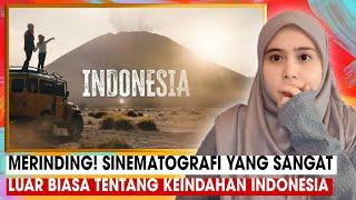 WARGA INDONESIA PASTI KAGUM LIAT VIDEO INI INDONESIA MAKES US FEEL ALIVE  MALAYSIANREACTION