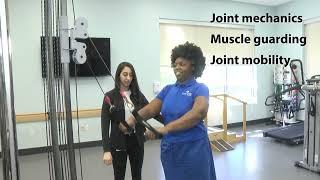 Manual Therapy - Holy Cross Health