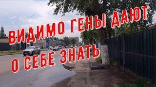 А вы такое видели? #Палодар