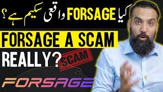 Is Forsage Really a Scam