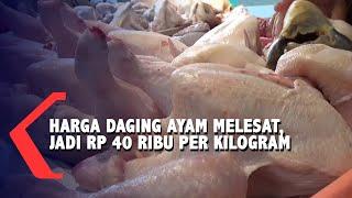 Harga Daging Ayam Potong di Pasar Tradisional Kota Malang Terus Naik