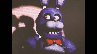 bonnie are you lost?