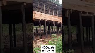 400goats structure outside looks  Goat Farming Business