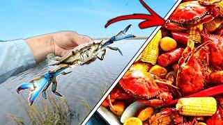 Blue Crab BOIL {Catch Clean Cook} Ring Net Crabbing from the Bank