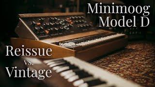 Minimoog Model D - reissue vs. vintage