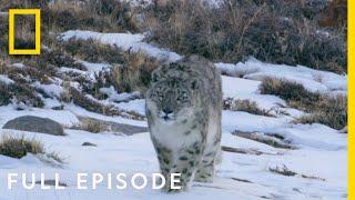 Mountains Full Episode  Hostile Planet