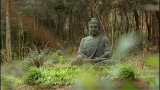  Morning Meditation Music for Positive Energy & Mindfulness   Relax & Start Your Day Right