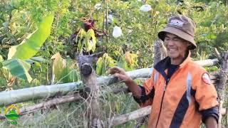 หมู่บ้านอารยะเกษตร วสช.ศาสตรพระราชาวัดพุทธอุทยานดอยอินทรีย์ จ.เชียงราย