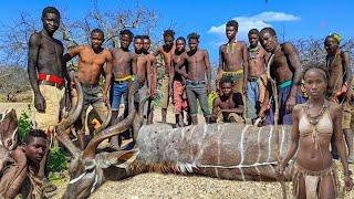 Hadzabe Tribe CATCH & EAT the Biggest Antelope