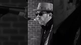 “I Want You” performed by EC & The Roots #elviscostello #elvis #shorts #livemusic #lovesong