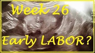 WEEK 26 EARLY LABOR?? CONTRACTIONS Ultrasound update BUMPDATE First Child IVF Sucess