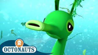 @Octonauts - Camouflage Operation  Cartoons for Kids  Underwater Sea Education