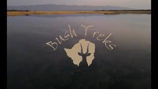 BUSH TREKS  - Experience Africa