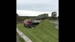 Silage Pit Action