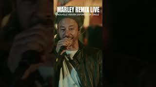 La version Remix By OnDubGround de MARLEY est maintenant dispo partout  Stream & Support #Danakil