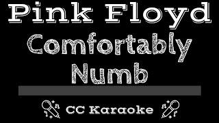 Pink Floyd • Comfortably Numb CC Karaoke Instrumental Lyrics