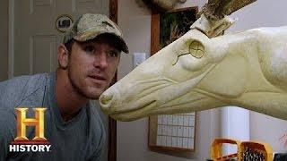 Swamp People Taxidermy  History