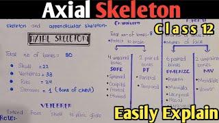 Axial Skeleton  Skull  Ribs  Sternum  Vertebral Column  Class 12 UrduHindi