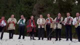 Colindătorii Bihorului - COLINDA - Seara lui Crăciun Oficial