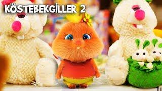 Köstebeklerden Biri Kaçırıldı  Köstebekgiller 2 Gölgenin Tılsımı Animasyon Filmi