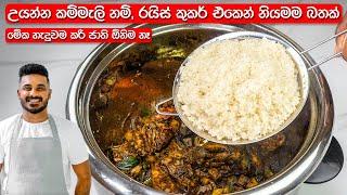 උයන්න කම්මැලිනම් මෙන්න නියම විසදුම  Delicious Rice in Rice Cooker  Easy Rice Recipe