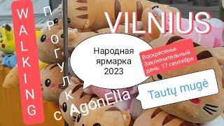 ПРОГУЛКА. Вильнюс. Народная ярмарка 2023 Продолжение. Tautų mugė. WALKING. Vilnius